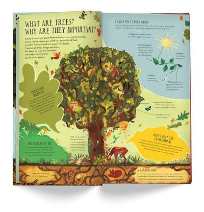 Make and Play: Build A Tree: Build a 30cm Oak Tree!