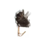 Dino Coat Hanger