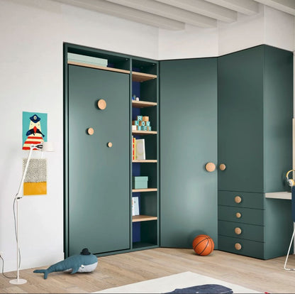 Twiddy - Drop Down Bed- Vertical Wall bed